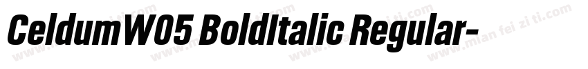 CeldumW05 BoldItalic Regular字体转换